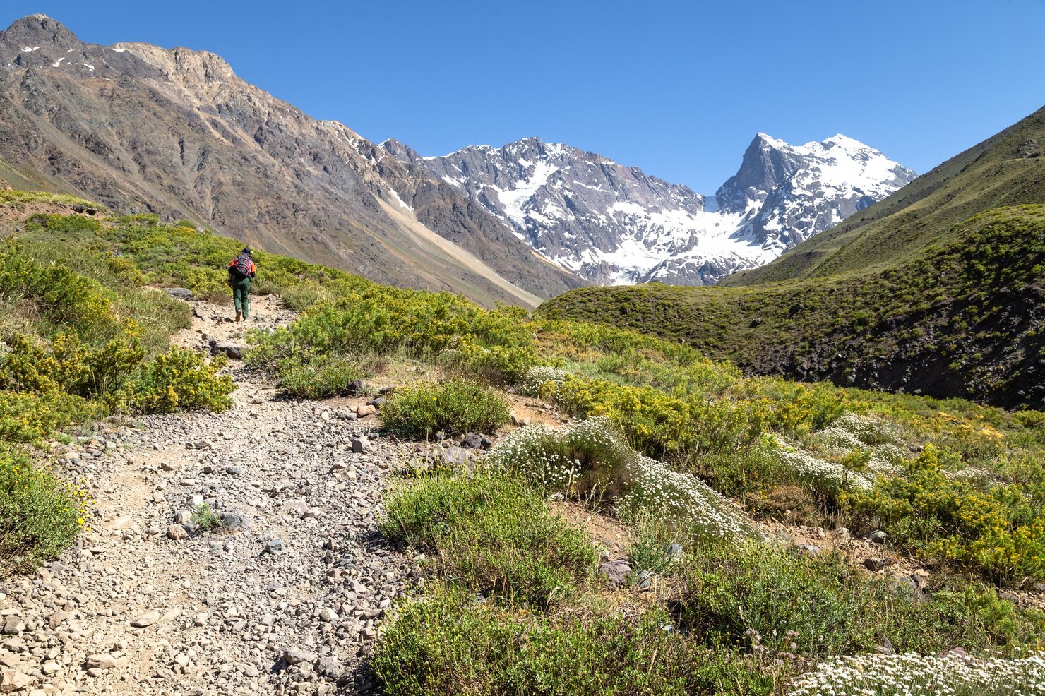 Sendero en los Andes chilenos